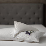 PERLA FIENO 50*80 GUANCIALE DAUNENSTEP