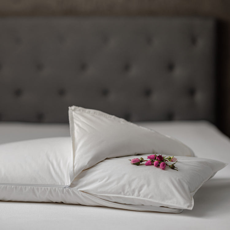 PERLA ROSA 50*80 GUANCIALE DAUNENSTEP