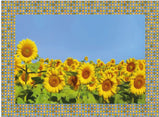 GIRASOLI SET AMERICANA VINILE WMD