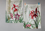 AMARYLLIS 3919 CANOVACCIO TAG HOUSE