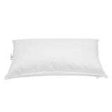 DUETTO 50*80 GUANCIALE DAUNENSTEP