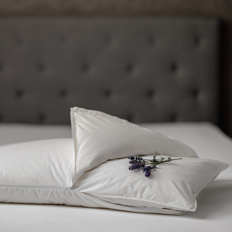 PERLA FIENO 50*80 GUANCIALE DAUNENSTEP