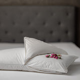 PERLA ROSA 50*80 GUANCIALE DAUNENSTEP