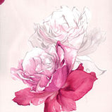 ROSE TRAPUNTA SINTETICA MATRIMONIALE BLUMARINE