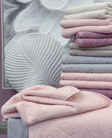 ANIMA COPPIA SPUGNA SVAD DONDI