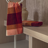 CROMATISMI COPPIA SPUGNA FAZZINI