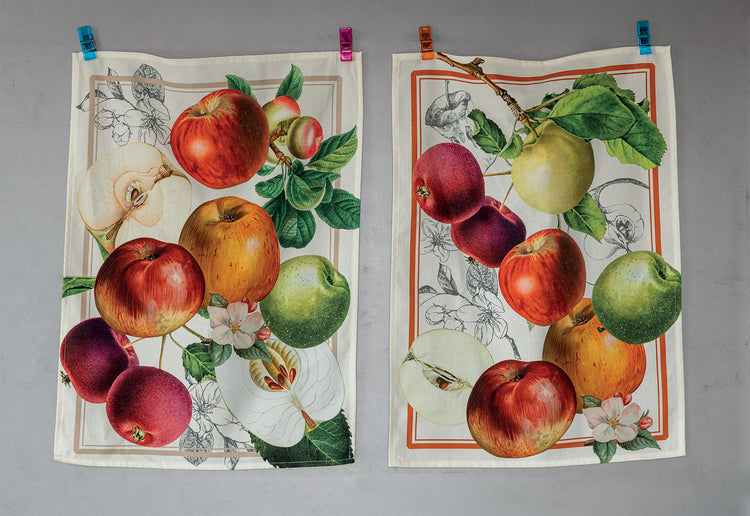 APPLE 3920 CANOVACCIO TAG HOUSE