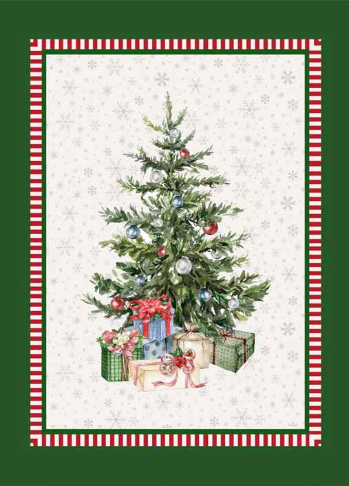 NATALE 10 CANOVACCIO CASA ANVERSA