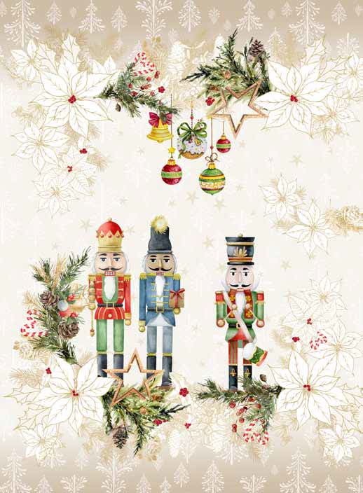 NATALE 11 CANOVACCIO CASA ANVERSA