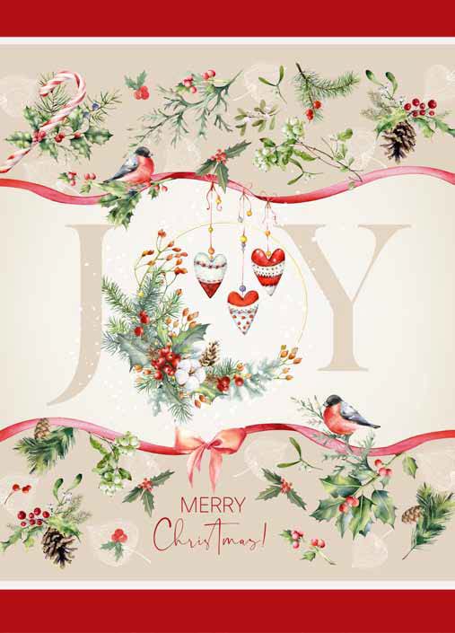 NATALE 12 CANOVACCIO CASA ANVERSA