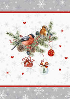 NATALE 06 CANOVACCIO CASA ANVERSA