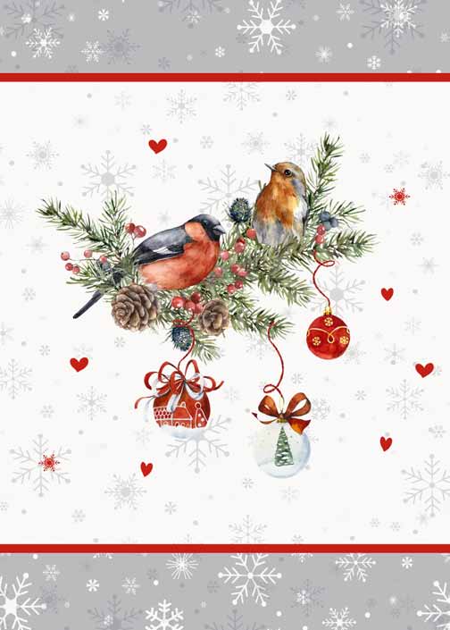 NATALE 06 CANOVACCIO CASA ANVERSA