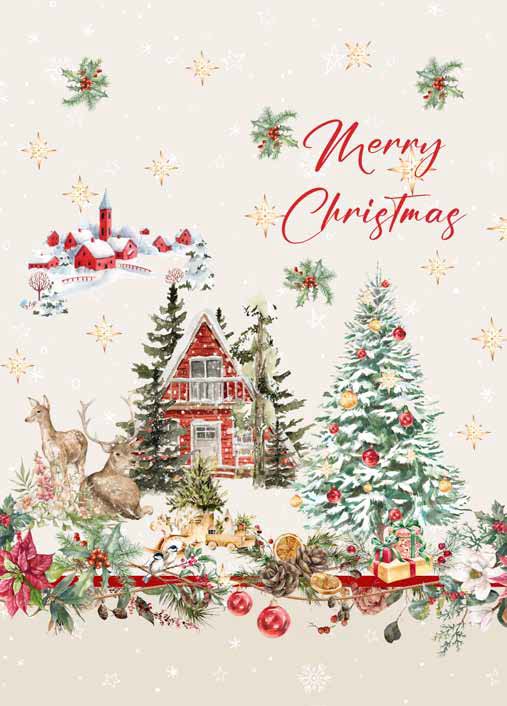 NATALE 08 CANOVACCIO CASA ANVERSA