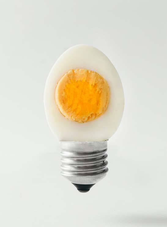 UOVO 05 CANOVACCIO IRRIVERENTE CASA ANVERSA