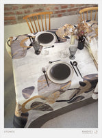 STONES TOVAGLIA 8 ANTIMACCHIA TESSITURA RANDI