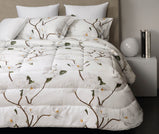 SANREMO TRAPUNTA SINTETICA MATRIMONIALE SIGNORIA DI FIRENZE